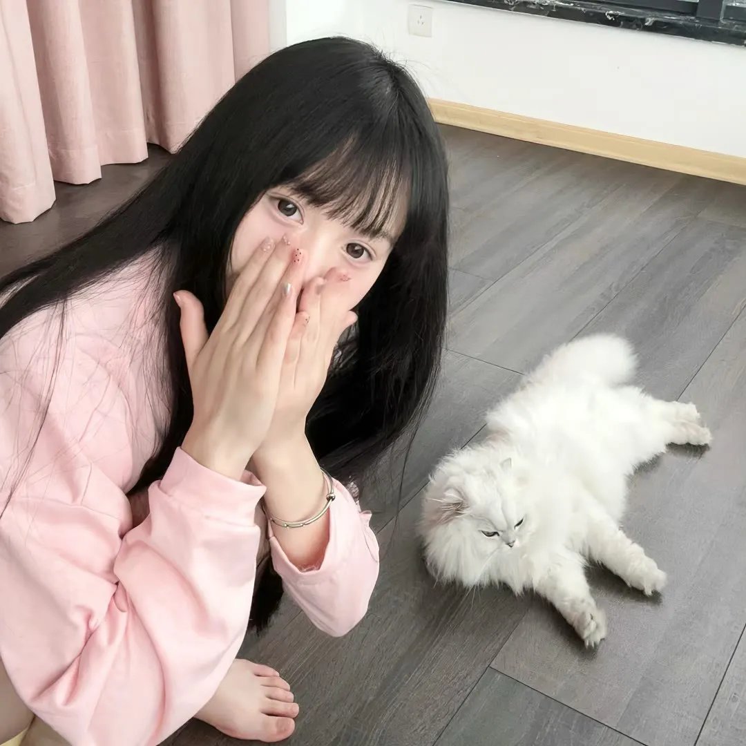 在西伯利亚森林中